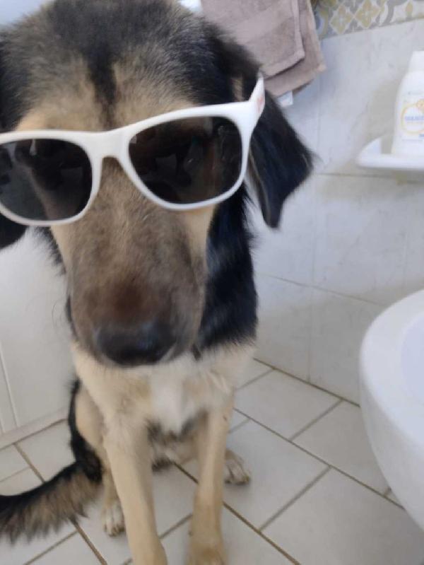 Ciao a tutti da Remì Foto 5